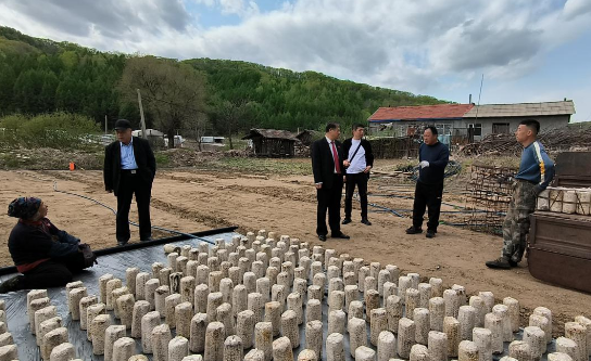 1683637503140892.png 1584a44975fd1b87849164b81d7d5f69.png