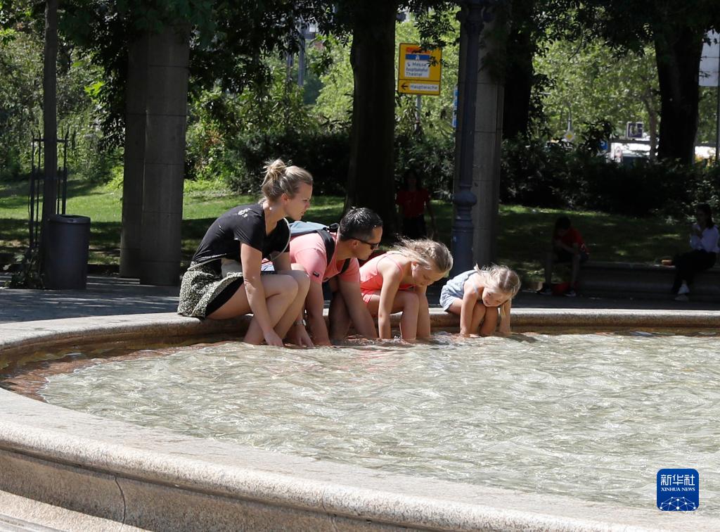 国际观察：中国方案推动全球绿色低碳转型