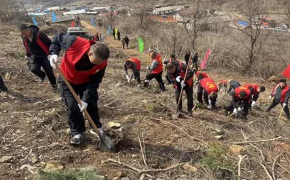 1745830750496810.png eb90581dd215e549210db34ee8d1bfdd_9f2c5341cba82c1825ee0b7b6aa299f5.png