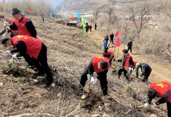 1745830763649726.png QQ图片20250428165800.png