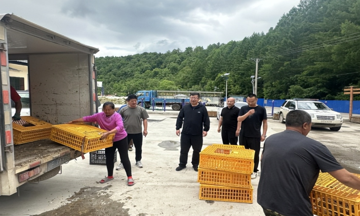 1750240740345646.png f4257e9dd9b15b21b730363fdf737f06_bcf998adbb0d610e5ae47828da251642.png